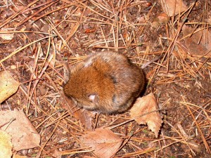 2001.10.27 14.35.42.jpg